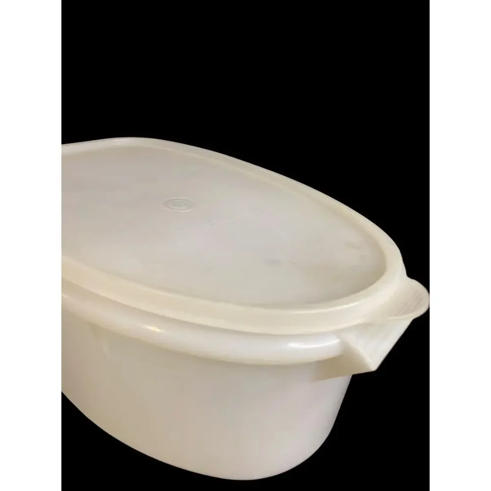 Vintage Tupperware Flavor Savor Ham Roast Keeper 487-5 with Lid 488-4